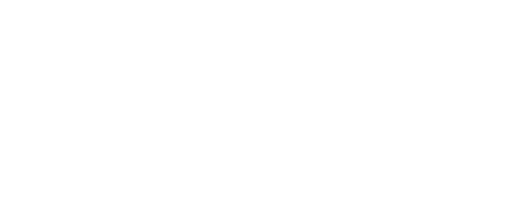 Team Vuk Logo weiß