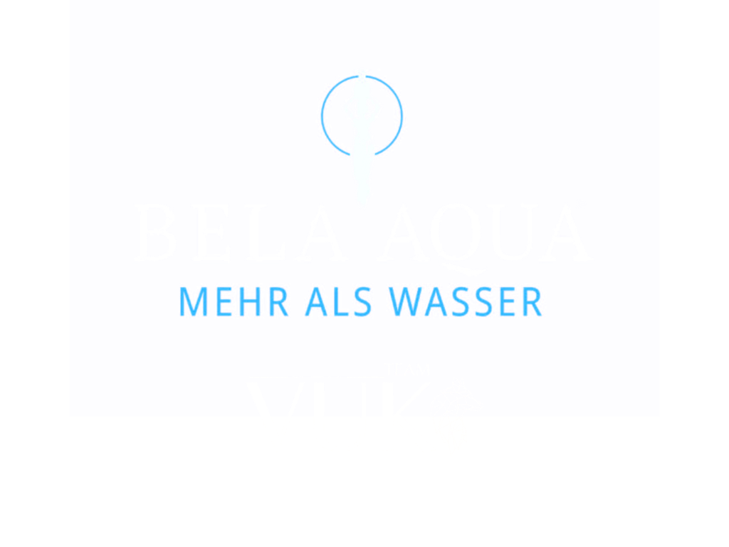 Logo Team Vuk